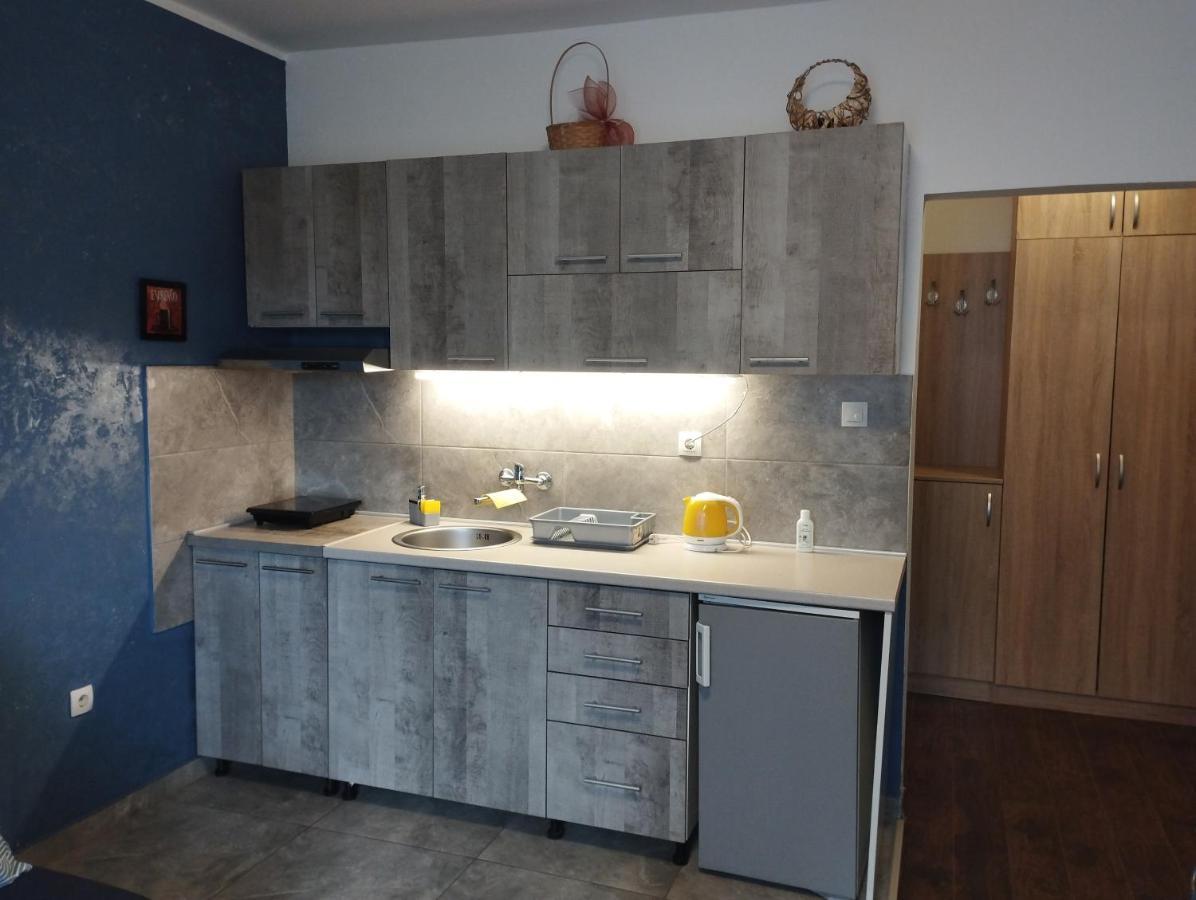 Apartman Tatjana Nowy Sad Zewnętrze zdjęcie