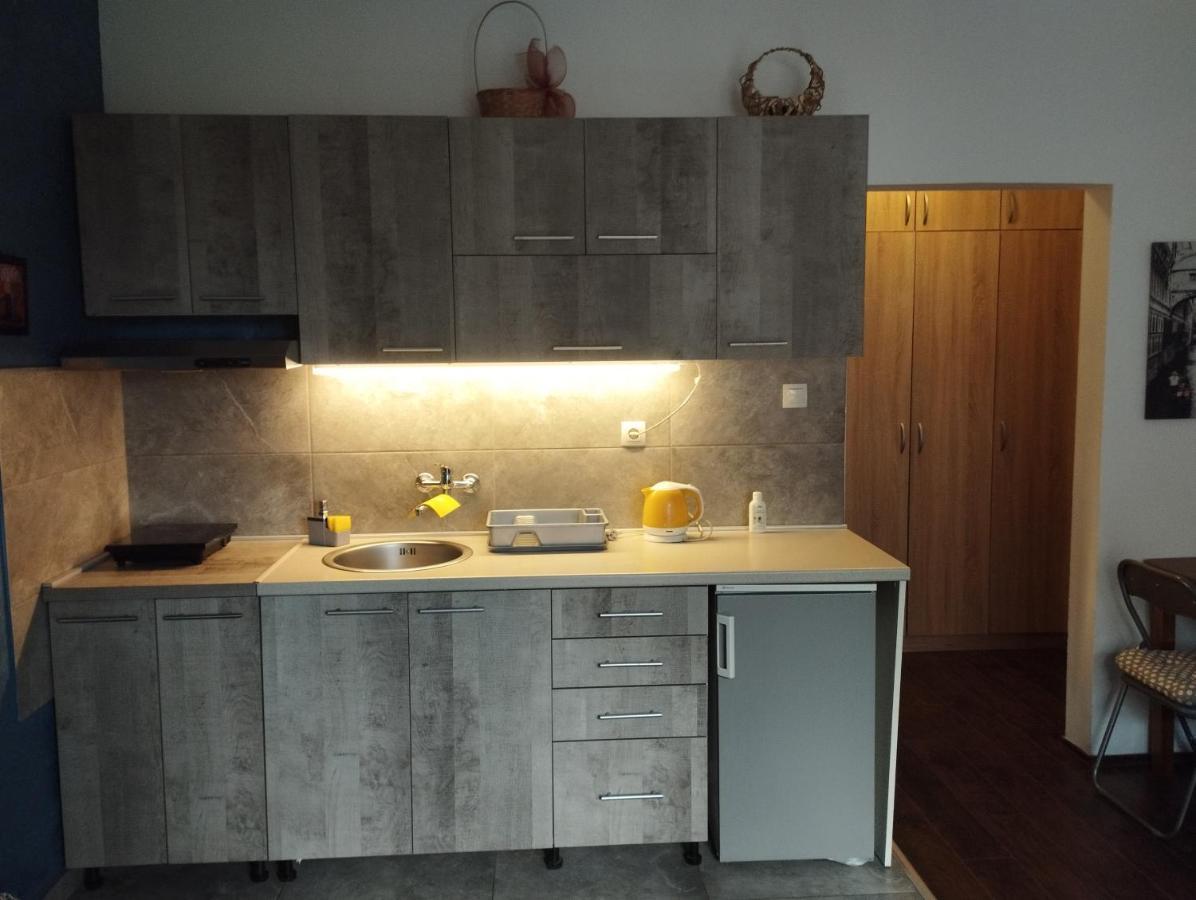 Apartman Tatjana Nowy Sad Zewnętrze zdjęcie