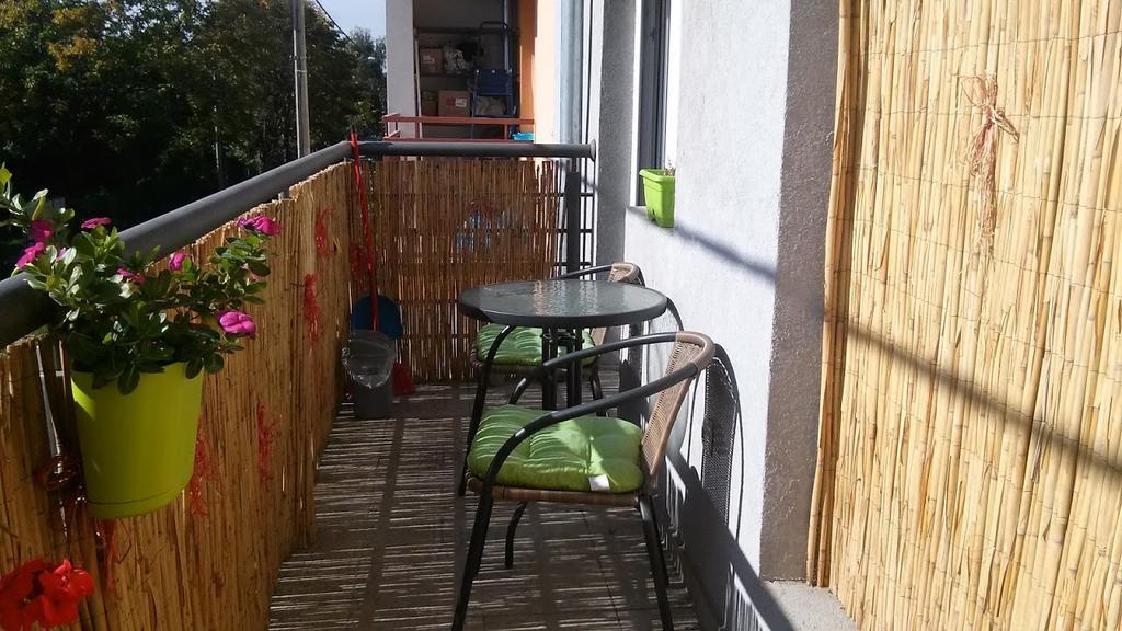 Apartman Tatjana Nowy Sad Zewnętrze zdjęcie
