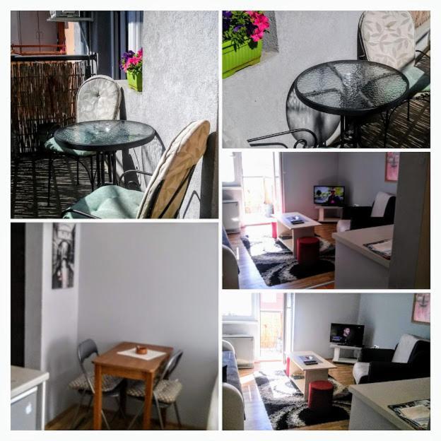 Apartman Tatjana Nowy Sad Zewnętrze zdjęcie